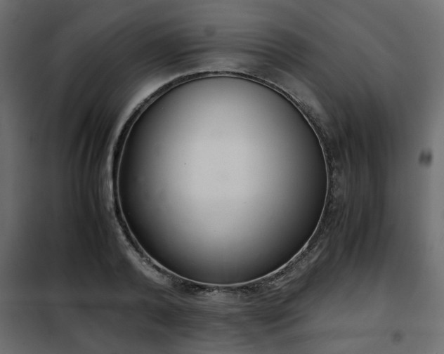 X0000102340792200808081130