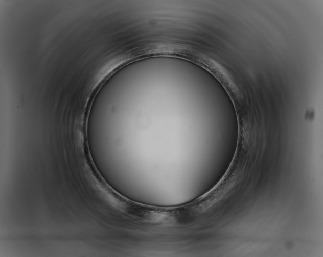 X0000102340794200808081130