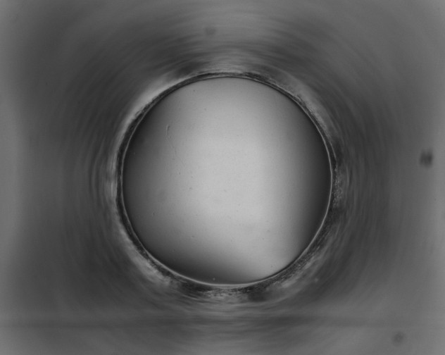 X0000102340795200808081130