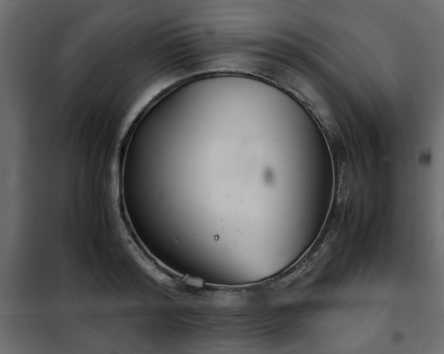 X0000102340796200808081130