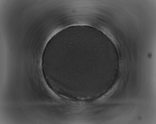 X0000102340797200808081130