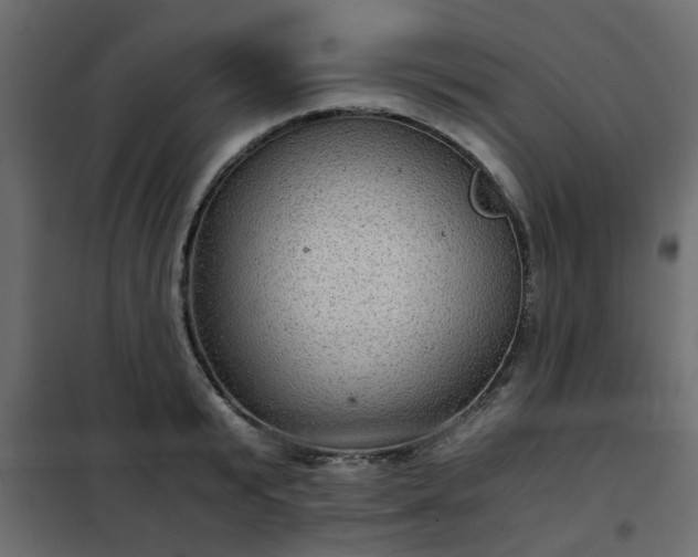 X0000102340799200808081130