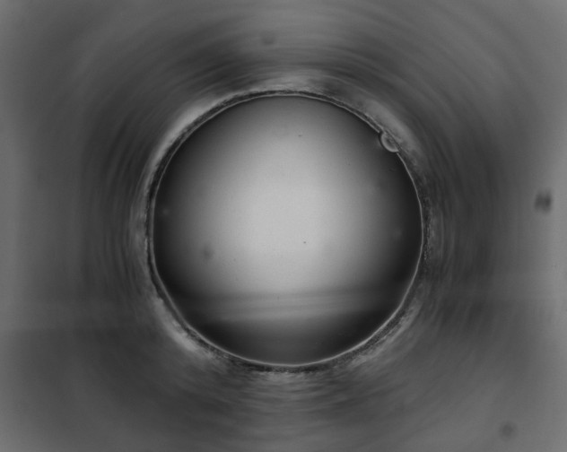 X0000102340800200808081129