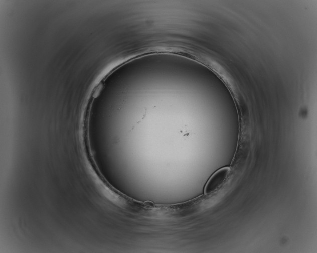 X0000102340803200808081129