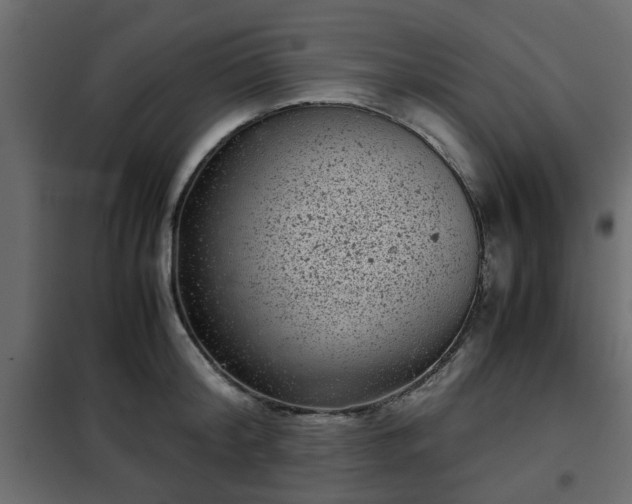 X0000102340804200808081129