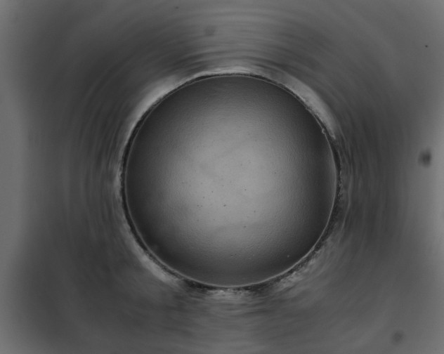 X0000102340805200808081129