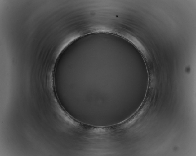 X0000102340806200808081129