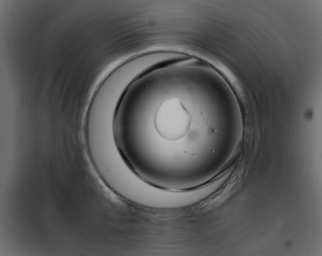 X0000102340807200808081129