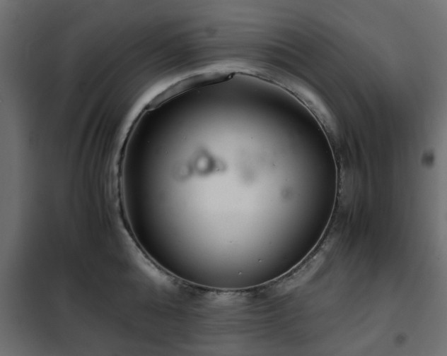 X0000102340808200808081129