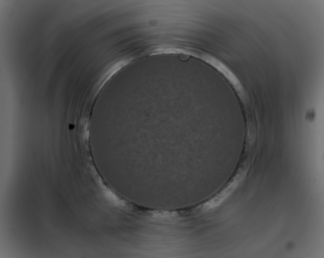 X0000102340809200808081129