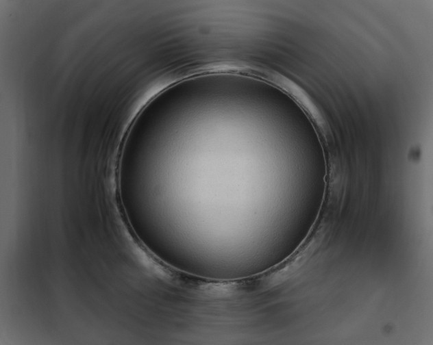 X0000102340810200808081129