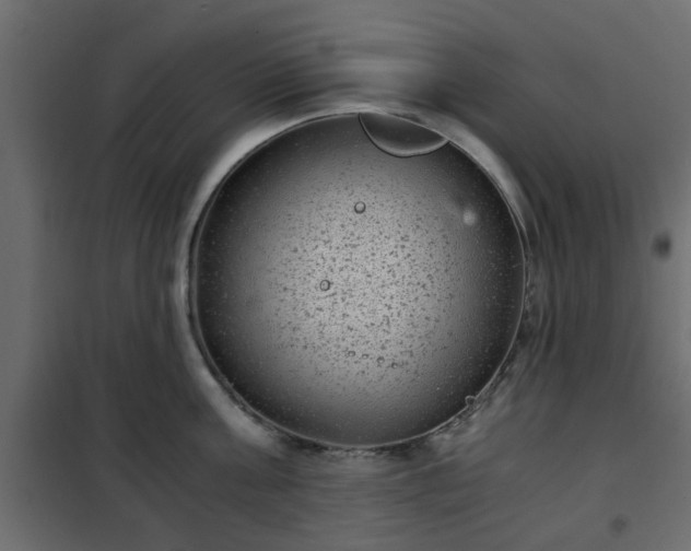 X0000102340811200808081129