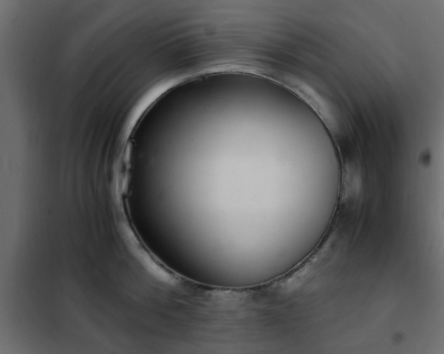 X0000102340812200808081129