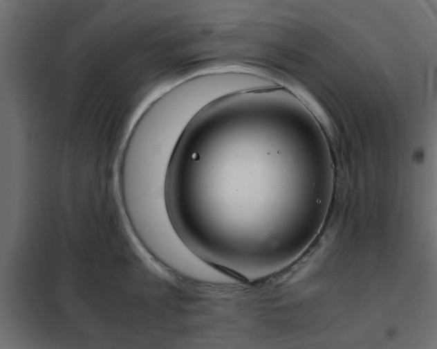 X0000102340813200808081129