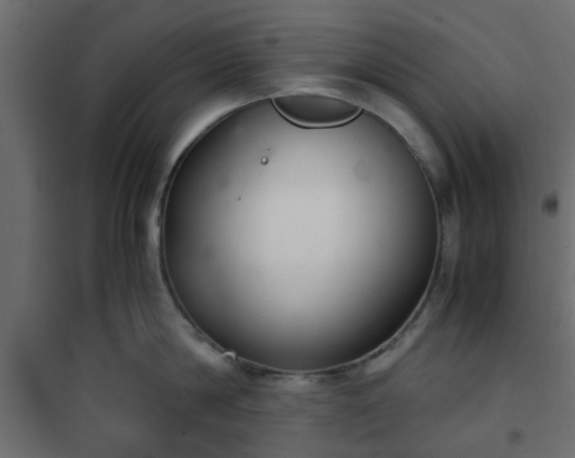 X0000102340814200808081129