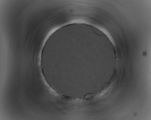 X0000102340815200808081129