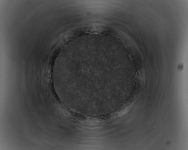 X0000102340818200808081128