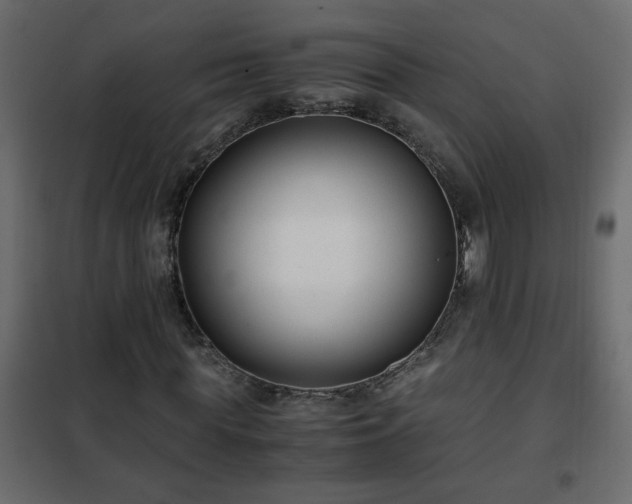 X0000102340819200808081128