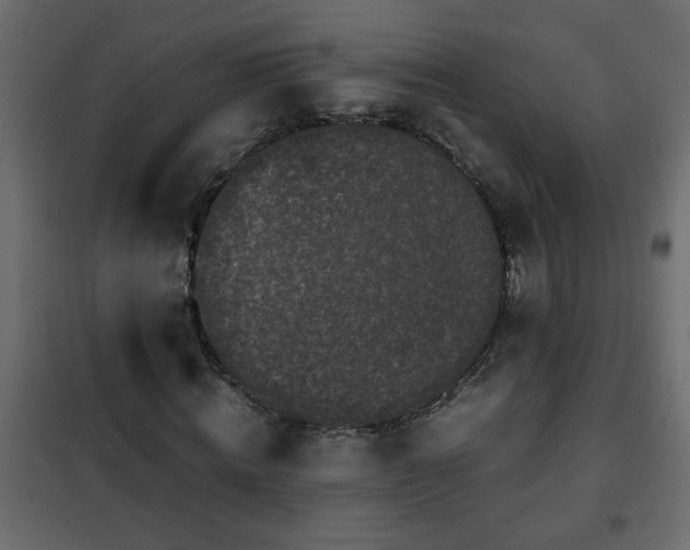 X0000102340820200808081128