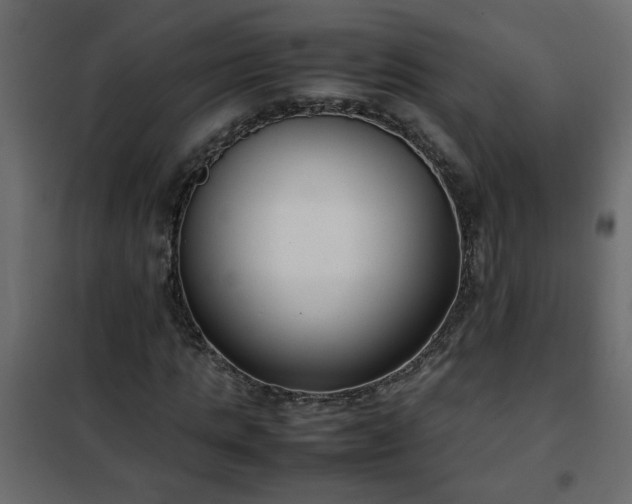 X0000102340821200808081129