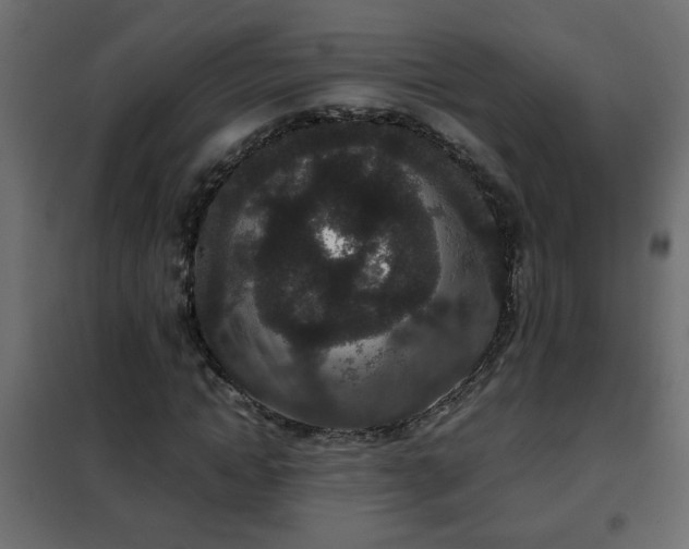 X0000102340822200808081129