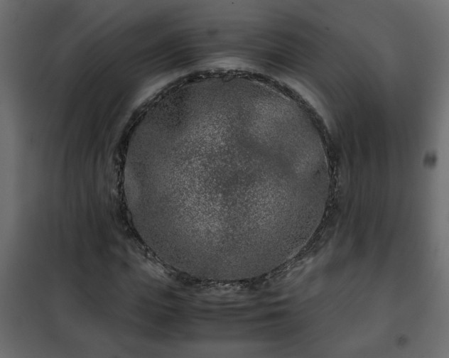 X0000102340823200808081129