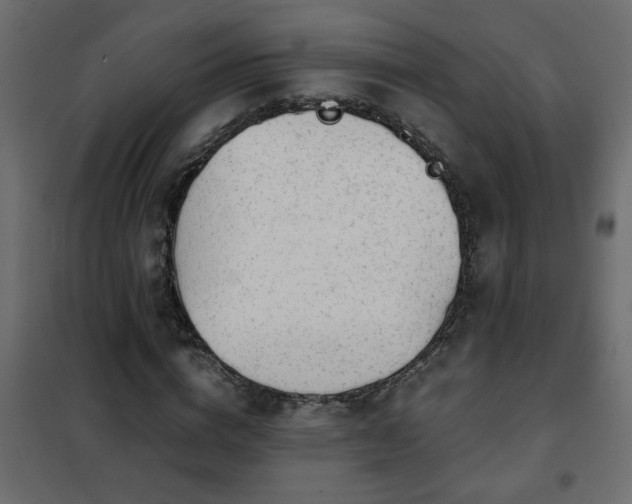 X0000102340824200808081129