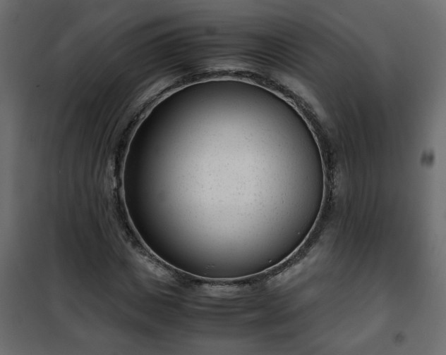 X0000102340825200808081129