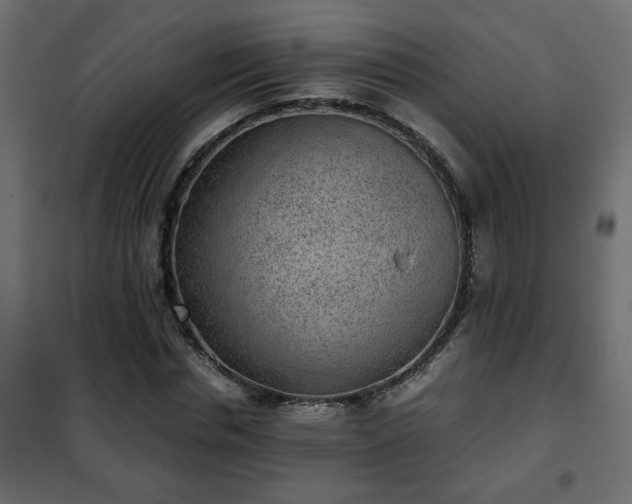 X0000102340826200808081129