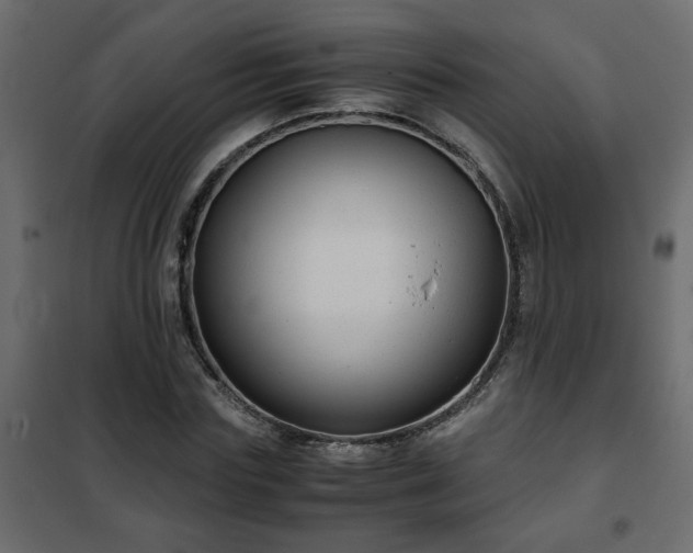 X0000102340827200808081129