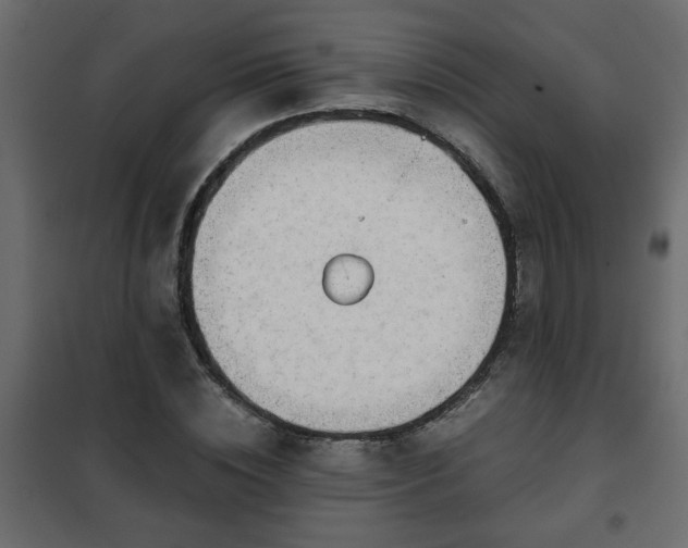 X0000102340828200808081129