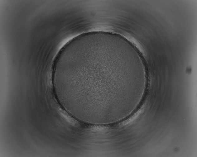 X0000102340830200808081129