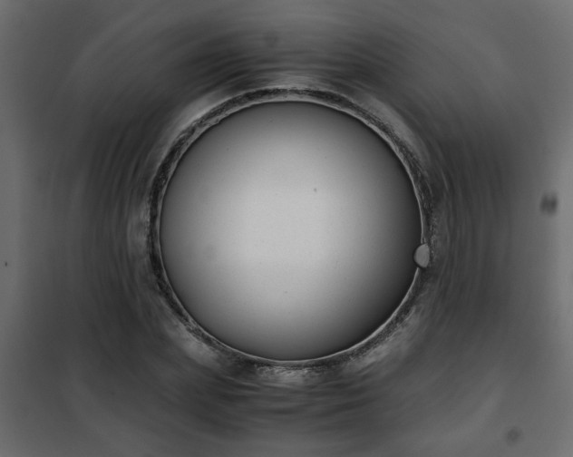 X0000102340831200808081129