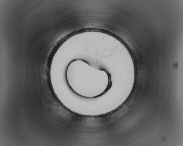 X0000102340832200808081129