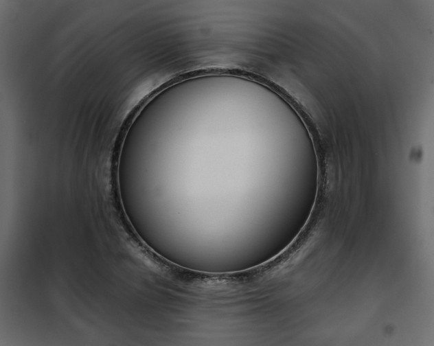 X0000102340834200808081129