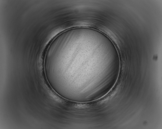 X0000102340835200808081129