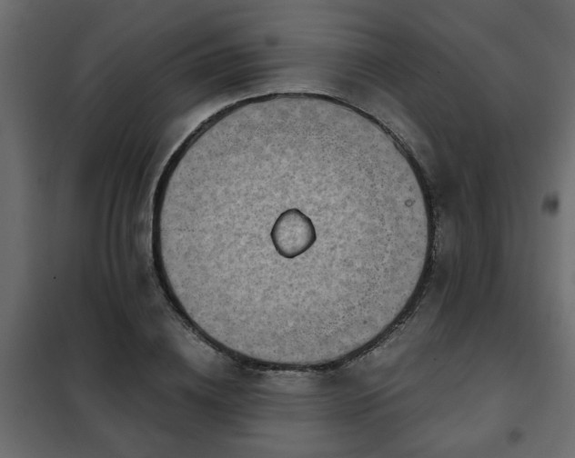 X0000102340836200808081129