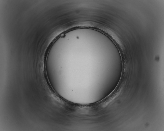 X0000102340837200808081129