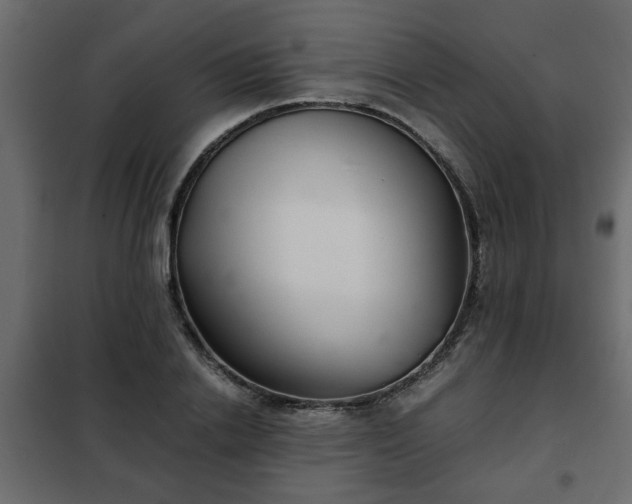 X0000102340838200808081129