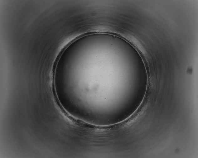 X0000102340839200808081129