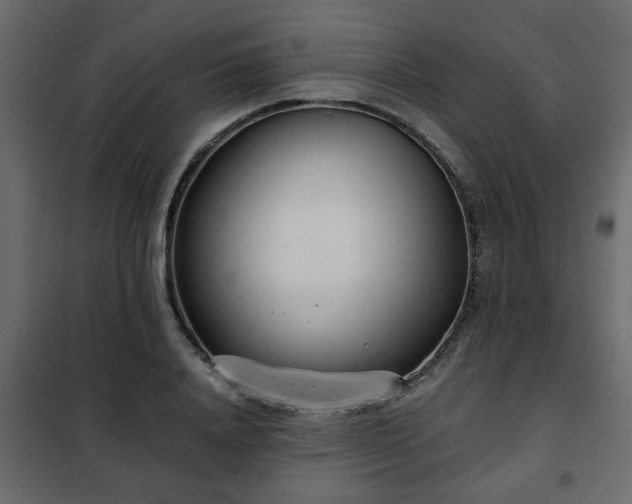 X0000102340840200808081129