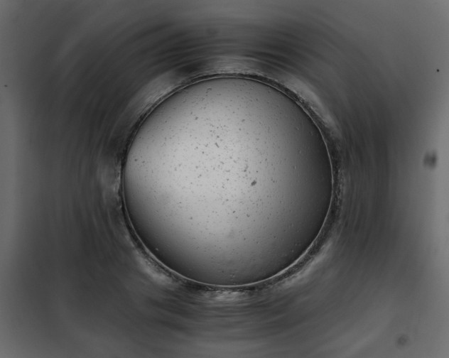 X0000102340841200808081129