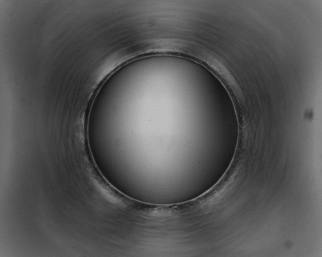 X0000102340842200808081129