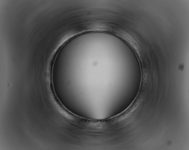 X0000102340843200808081129