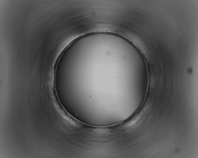 X0000102340844200808081129