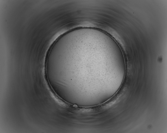 X0000102340845200808081129