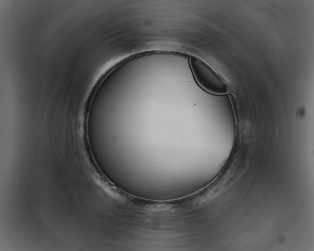 X0000102340846200808081129