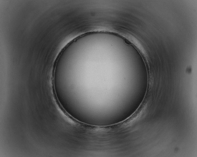 X0000102340847200808081129