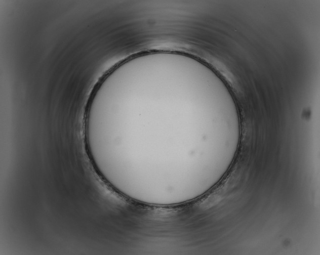 X0000102340848200808081129