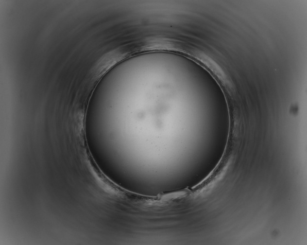 X0000102340849200808081129